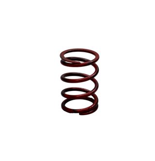 RESORTE CLUTCH (6) PULSAR - Mundimotos