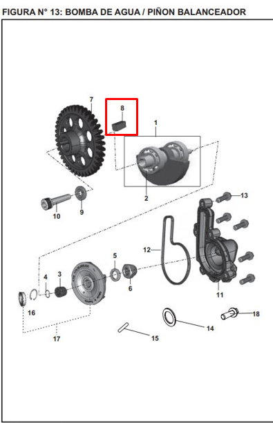 CUNA PINON PRIMARIO DISCOVER ORIGINAL - Mundimotos