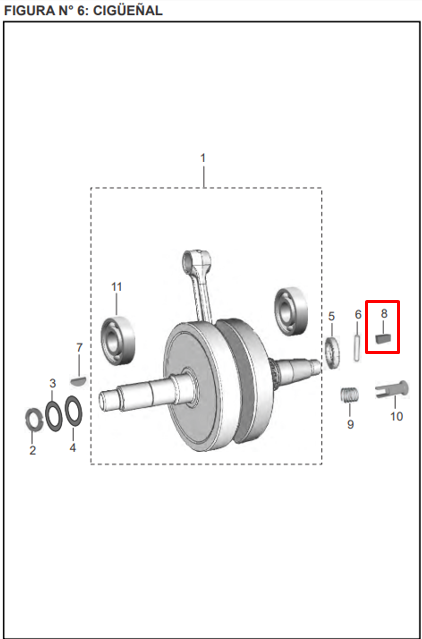 CUNA PINON PRIMARIO DISCOVER ORIGINAL - Mundimotos