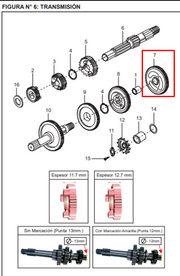 PINON ES 1RA 36T BOXERCT-S1D/TEC ORIGINAL - Mundimotos
