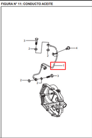 MANGUERA OIL BOXERTEC/PLATINO 100 ORIGINAL - Mundimotos