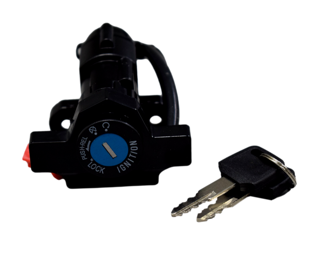 SWITCH ENCEN BOXER MN/PLATINO 100 CHINO - Mundimotos