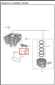 GUARDAPOLVO SENSOR CIL.PULSAR 135LS ORIGINAL - Mundimotos