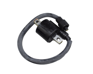 BOBINA AT RH PUL160NS/TD ORIGINAL - Mundimotos