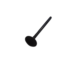 VALVULA IN (2) DISC125/150ST ORIGINAL - Mundimotos