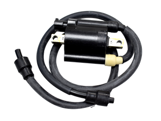 BOBINA LH PULSAR AS200 ORIGINAL - Mundimotos