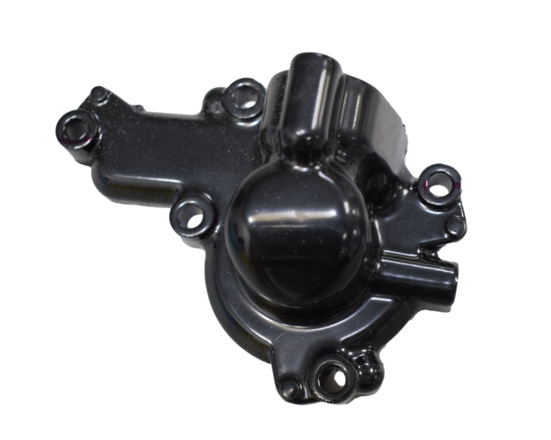 TAPA BOMBA AGUA PUL200NS ORIGINAL - Mundimotos