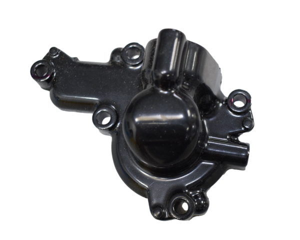 TAPA BOMBA AGUA PUL200NS ORIGINAL - Mundimotos