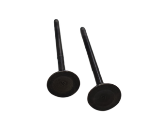 VALVULA DE ADMISIÃƒÂ¢Ã¢â‚¬Â¢Ã¢â€žÂ¢N NS 125 ORIGINAL - Mundimotos