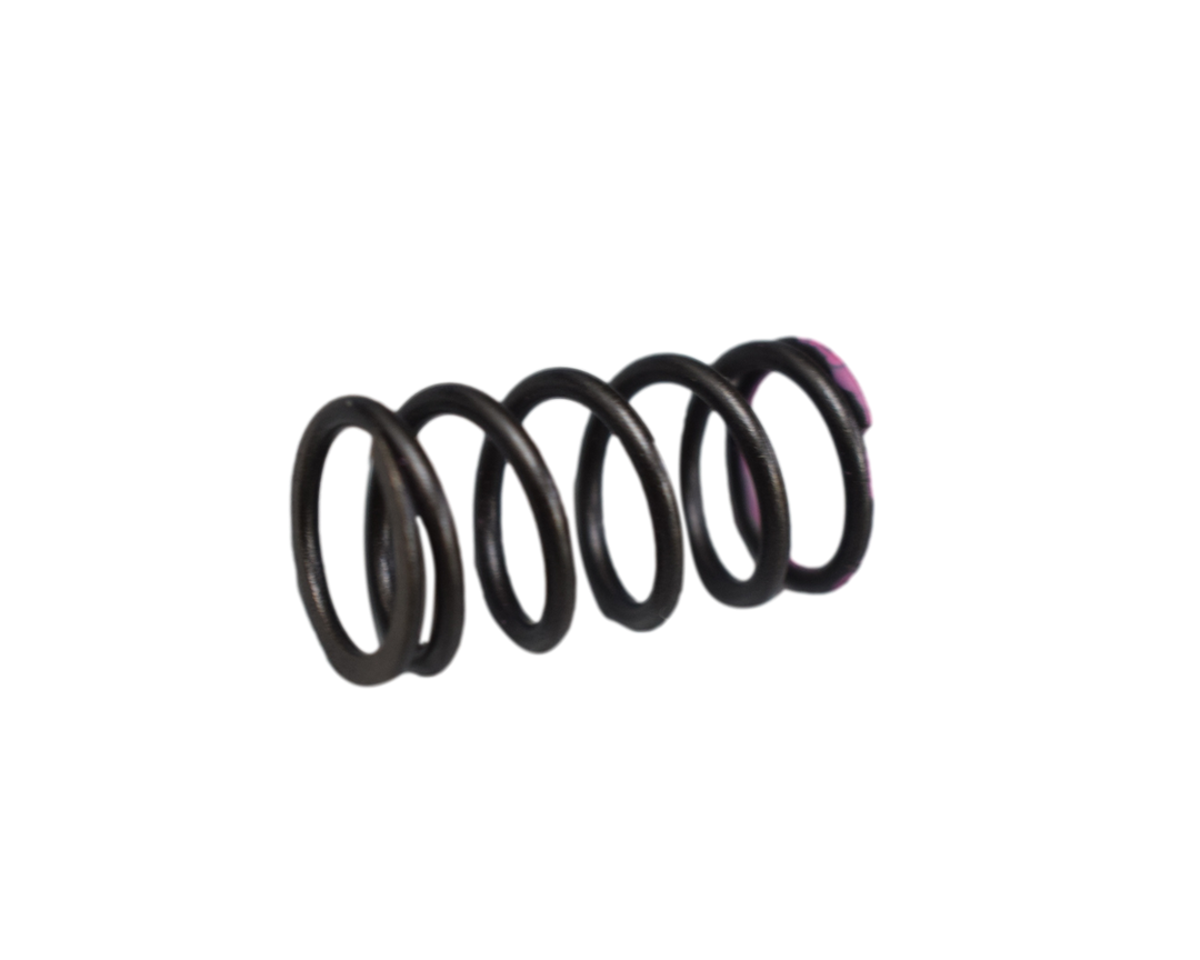 RESORTE CLUTCH (5) PULS200/220 ORIGINAL - Mundimotos