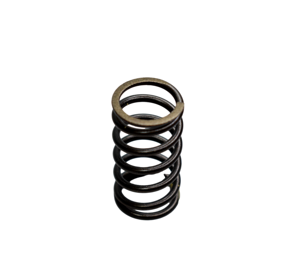 RESORTE CLUTCH (5) PULS.UG - Mundimotos