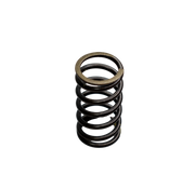 RESORTE CLUTCH (5) PULS.UG - Mundimotos