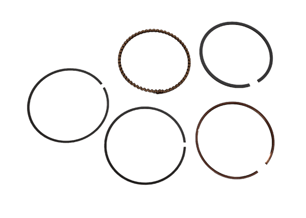 ANILLOS SPLENDOR STD