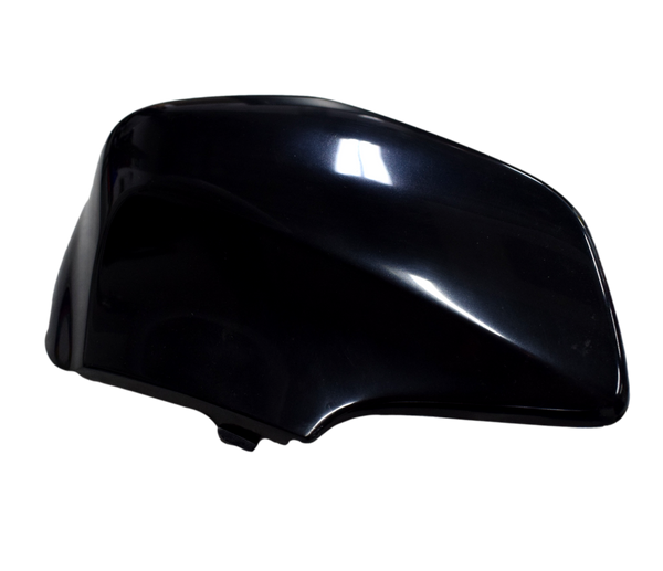 TAPA GUARDABARRO FR LH BIZ SC - Mundimotos