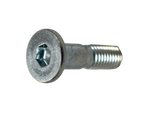 Cargar imagen en el visor de galería, TORNILLO 08X31 SPROKET XR250