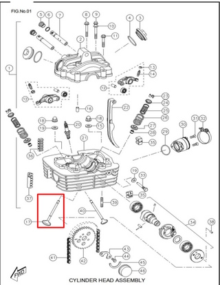 VALVULA IN RTR160/180 ORIGINAL - Mundimotos