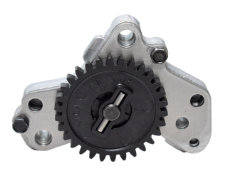 HERO RESORTE EX VALVULA KARIZMA/CBZ160 - Mundimotos