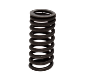 HERO RESORTE IN VALVULA KARIZMA/CBZ160 - Mundimotos