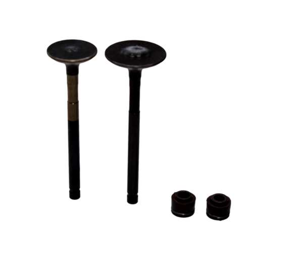 KIT VALVULAS DASH - Mundimotos