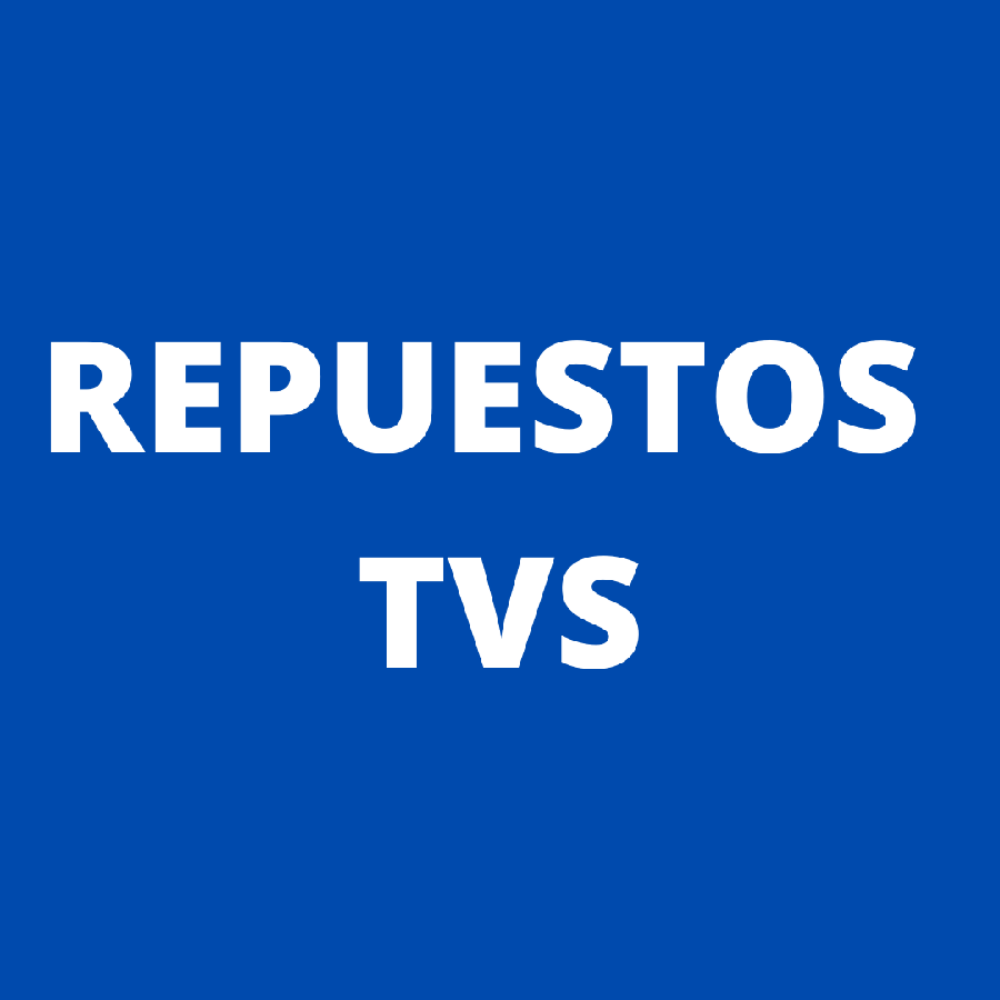 TVS KIT PISTON TVS100 0.25