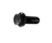 TORNILLO FI OIL 06X16 (2) GS150R ORIGINAL