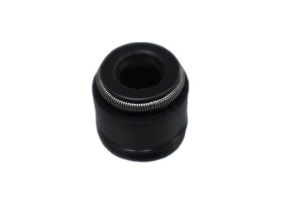 RETEN VALVULA AN100/GN125H/VIVAX ORIGINAL