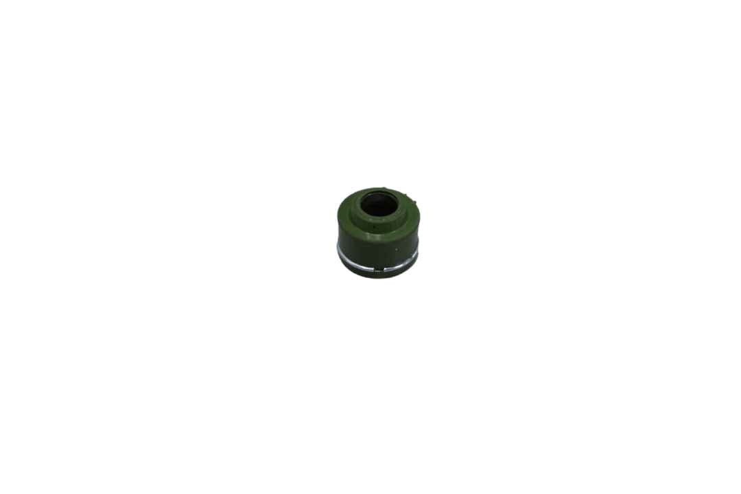 RETEN VALVULA GS150R ORIGINAL