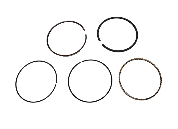 ANILLOS VIVA 0.75 VIVAX/BEST JAPON