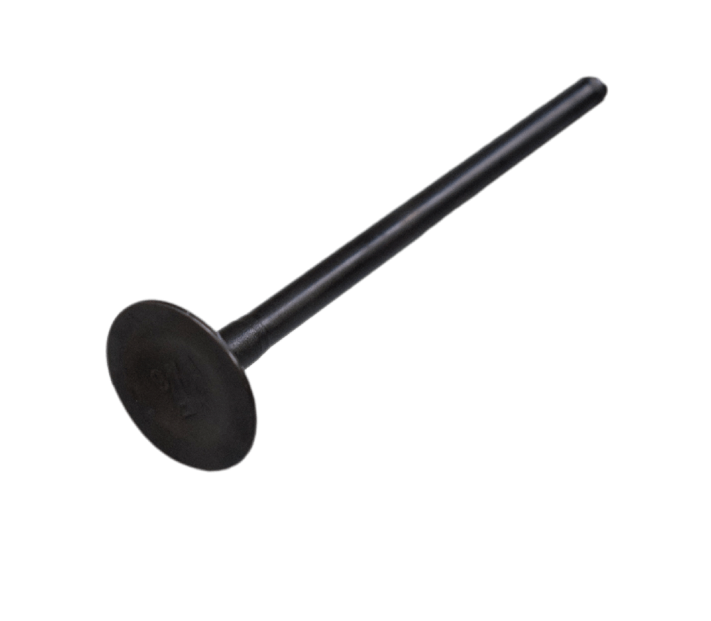 VALVULA EX GN125H/GSX150/GS125 ORIGINAL