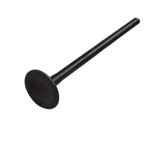 VALVULA EX GN125H/GSX150/GS125 ORIGINAL