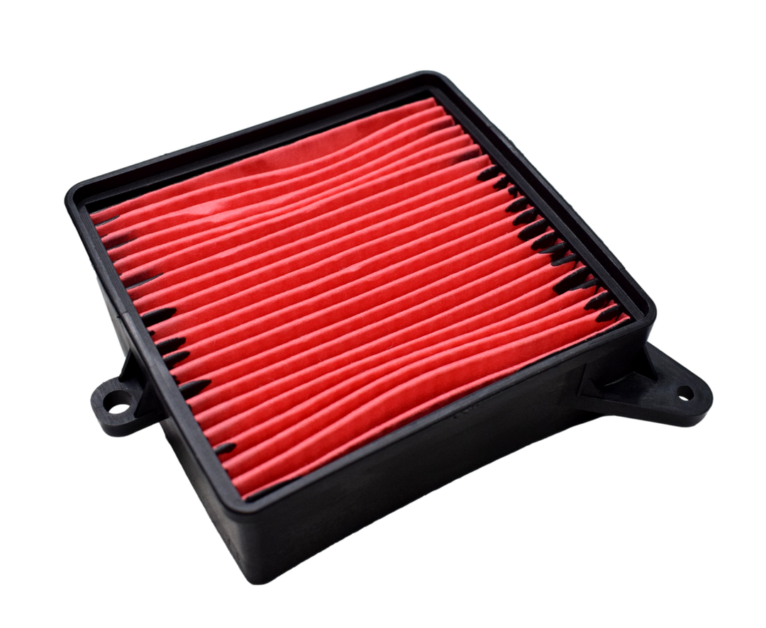 FILTRO AIRE AGILITY125 NACIONAL - Mundimotos
