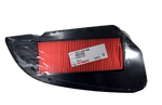 Cargar imagen en el visor de galería, Filtro Aire Kymco Downtown300 Original - Mundimotos