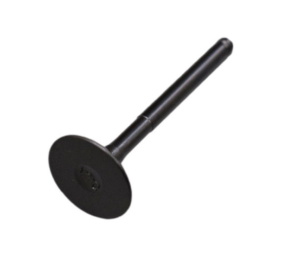 VALVULA IN NEXT ORIGINAL