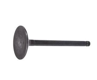 VALVULA IN (2) XT600 ORIGINAL