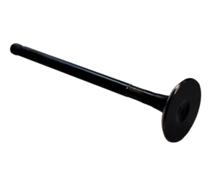 VALVULA EX FZ16/AC150B JAPON - Mundimotos