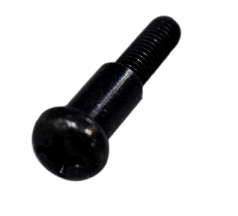 TORNILLO MANIGUETA LH BWS100-125 ORIGINAL