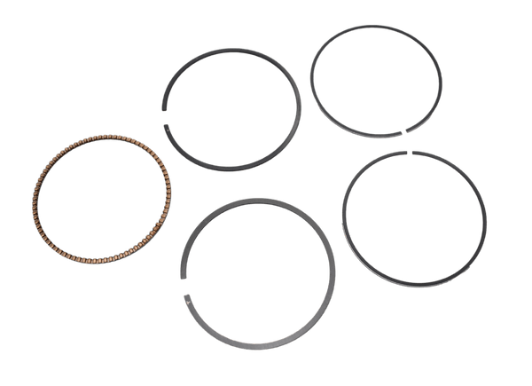 ANILLOS STD FINO FI/AF115F (B281) ORIGINAL