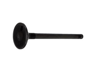 VALVULA IN YBR125E/XTZ125 ORIGINAL