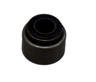 RETEN VALVULA XT200/XT225 JAPON