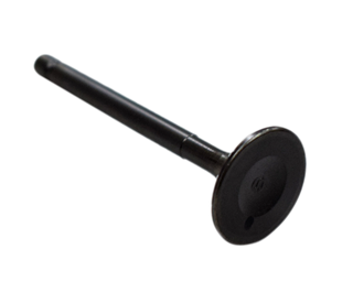 VALVULA EX YBR125D/XTZ125/YD125 ORIGINAL - Mundimotos