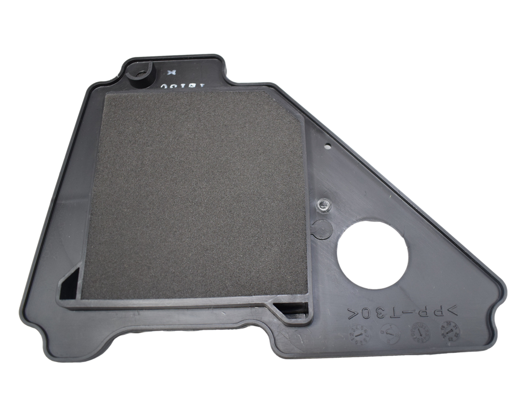 FILTRO AIRE YD125/YBR125ESD ORIGINAL - Mundimotos