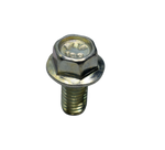 Cargar imagen en el visor de galería, TORNILLO 08X110 CHASIS YBR125ESD CROMADO - Mundimotos