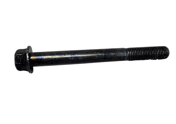 TORNILLO A 10X100 NEGRO ORIGINAL